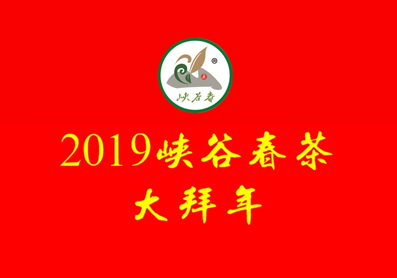 2019{ȴFҕl
